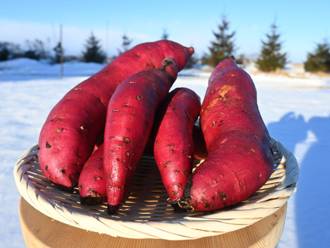 さつまいも食べ比べセット