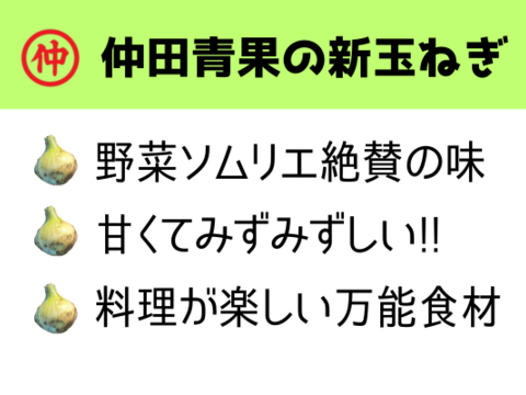【訳あり】淡路島新玉ねぎ10kg【野菜ソムリエサミット金賞🏆】