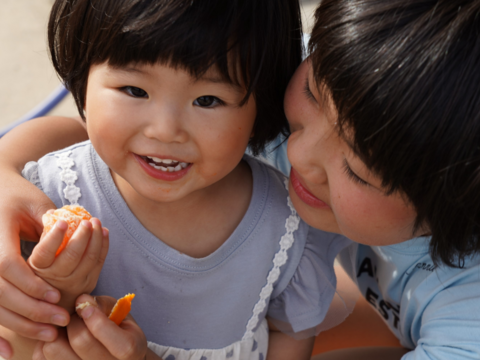 夏に美味しい唐津の極上みかん♡おためしサイズ「ハウスみかん」700g