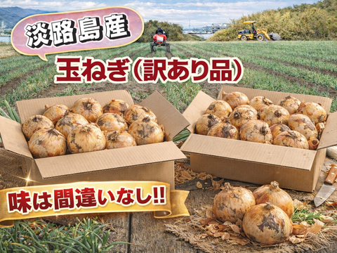 【コスパ優先】不揃いだけど味は一級品！淡路島が誇る濃厚な旨味をご家庭で　５kg（サイズ混合）
