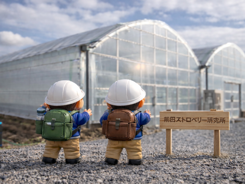 【食べ比べ】2色(赤・白)フラワー＆スクエア　160g×4箱セット