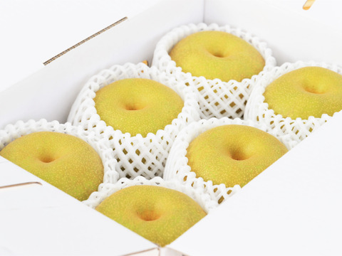 今大注目されている甘くてジューシーな梨【梨：南水】6～4個（2㎏程度）