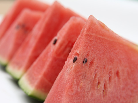 今年の夏も【かねこ農園】のスイカが食べたーい！！　北海道産【小玉スイカ】「ピノガール」2玉セット！