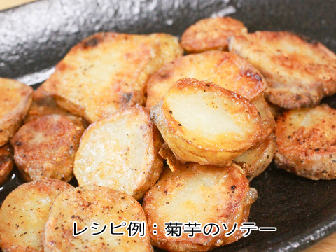 【産直直送！】宮城県産 菊芋5kg  紅菊芋 自然栽培 栽培中農薬不使用 赤菊芋 生きくいも 生食