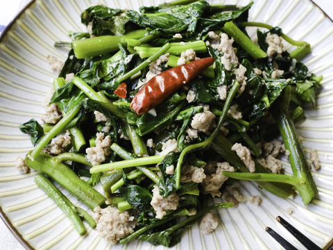 化学農薬・肥料不使用の空芯菜（約1.6kg）お魚が野菜を育てる「アクアポニックス」で栽培