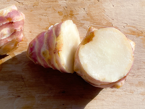 【日持ち◎土つきで届け！】生菊芋  紅菊芋500g 宮城県産 シャキシャキ食感 生きくいも 菊芋 赤菊芋 栽培中農薬不使用  自然栽培 化学肥料不使用 キクイモ きくいも 皮ごと食べれる 生食