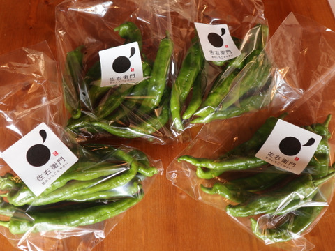 万願寺とうがらしより美味しい？！　『甘唐美人』１kg