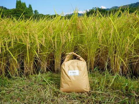 予約販売】令和7年新米 長野県産「コシヒカリ」10Kg：長野県産