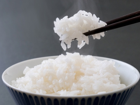 【秋の味覚】丹波黒枝豆500gと新米3kgのセット🫛🌾🍂 土づくりにこだわる農薬節約栽培🌱 丹波黒大豆枝豆 丹波黒豆 丹波黒 枝豆 edamame コシヒカリ（白米）