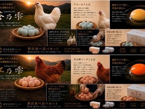 那須ブランド【平飼い】紅乃雫×蒼乃雫 贅沢2種セット(名古屋コーチン✖︎アローカナ)〈日和・家庭用〉20個(割れ保証4個)