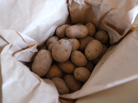 【希少！濃厚な味わい】下栗いも 2kg