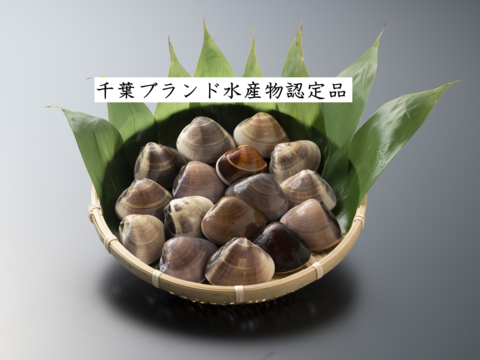 【凍眠凍結】‼️BBQでも手間いらず(^^)b
グリルでホイル焼きも旨〜い♪
-30℃リキッド凍結蛤
《千葉ブランド水産物認定品》
九十九里産生蛤500g/8〜11個