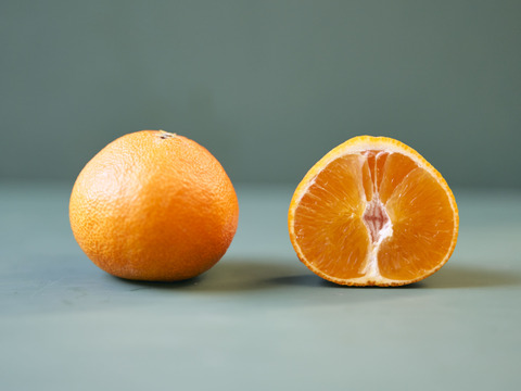 箱込約1㌔×２　マドンナ＆甘平　食べくらべセット　愛媛県オリジナルドリームタッグ　他ではないこの組み合わせ　生産者の匠の技と技術の結晶　この感動的な衝撃的なおいしさ