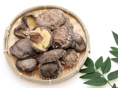 原木椎茸 肉厚 農薬不使用 150g「茸王、のとてまり」と同品種 生産者直送 ひるぜん原木しいたけ 岡山県 雪国 蒜山（ひるぜん）高原/鳥取産 しいたけ