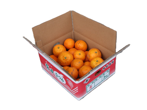 農家直送！なつみオレンジ　無選別3kg ≪秀品・訳あり品・サイズ混合≫ 〜蛍飛ぶ町から旬の便り〜　和歌山｜有田｜田口｜ギフト