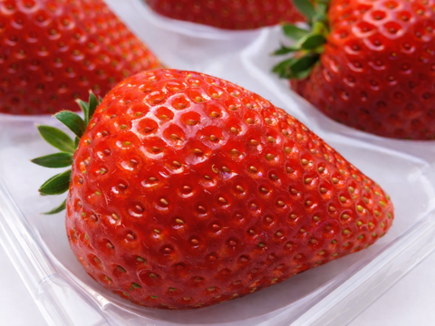 2箱セット！やさしく苺を包むゆりカーゴに入れてお届け！シャキっと歯応え！ジュワ～と果汁！厳選大粒♪完熟とちあいか！今話題の甘さが際立つ品種です！
約270g×4パック