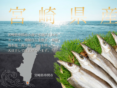 【海の精×天日干し】カマスの無添加干物（６枚入）