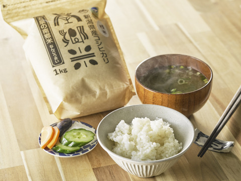 令和６年新米 特別栽培米''隠れたお米の名産地''新潟県五泉産コシヒカリ100%「南郷米」精米1kg×10袋