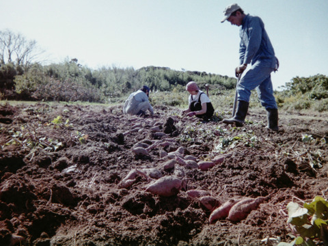 能登塩が決め手　自然栽培《おいもチップス》1袋50g×3p