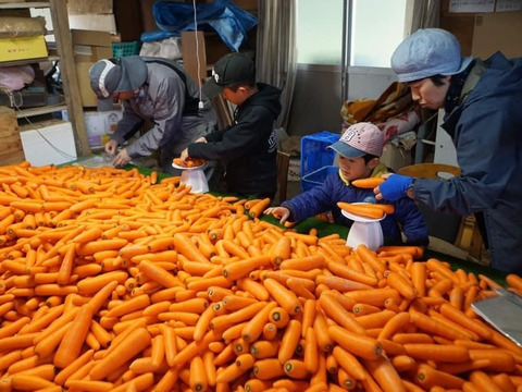 笑顔にんじん10キロ