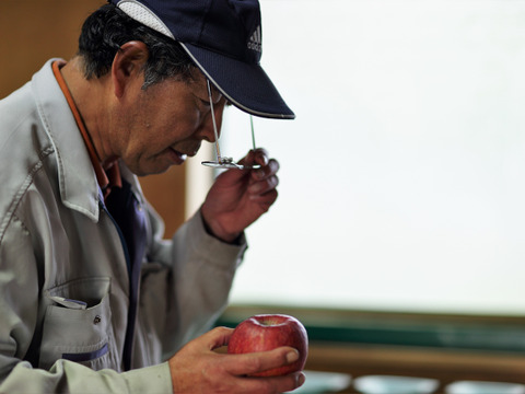 サンふじA規格　大野農園を代表する品種「りんごの王様」18～14個程度（約5ｋ）