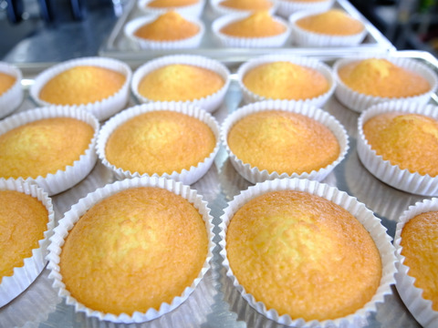 母の日ギフト（メッセージカード付き）熊本県南阿蘇村の自社農場で育てた平飼い卵をたっぷり使った『マドレーヌ（10個）セット』