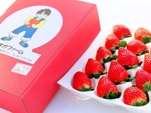 本当に恋が実ると噂の恋みのり 栽培過程で出来た突然変異 桃の香りを皆様の元へ約400ｇ 2パック