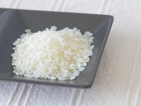【“塩”のおまけ付こだわり米】透明度日本一の海と山に囲まれたまごころ米