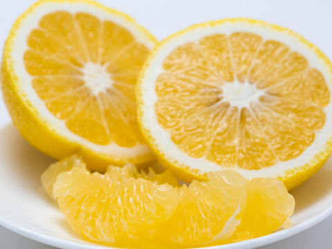 【柑橘食べ比べ】清見タンゴール＋はるか各２㎏（合計4㎏） ※３月発送開始