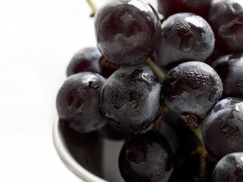 2026年予約販売★濃厚な藤稔 1～1.2kg（2房）☆濃厚！新鮮でジューシー 種無しの藤稔です。9月中旬発送。果汁たっぷり、種なし、お奨め、青森県産、贈答、ギフト、家庭用にも