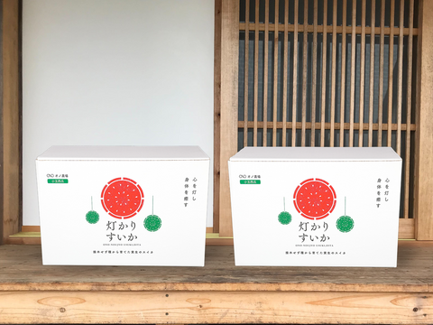 タネから育てた 農薬化学肥料を一切使っていない 小玉 スイカ　＊得用箱＊　 2～2.5kg  ２個入　ｘ　２箱