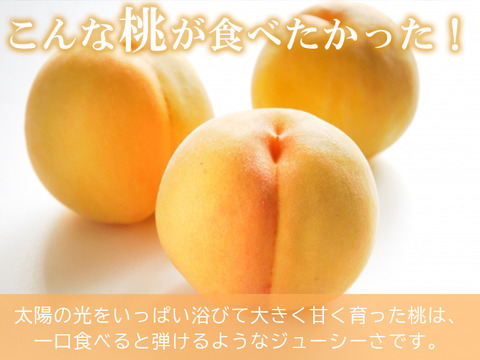 【すぐ発送！💛山梨黄金桃】約３キロ！特大～大サイズ８～１1個！一度食べたら忘れられない山梨の黄金桃をお届け！