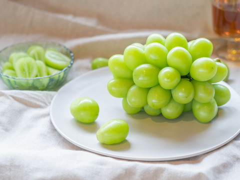 贈答用】 岡山県産シャインマスカット 3房 予約販売！9月中旬より順次