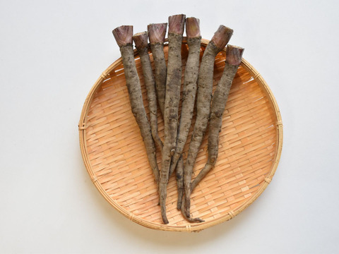 和らぎ農法　ごぼう　サラダむすめ（1袋）