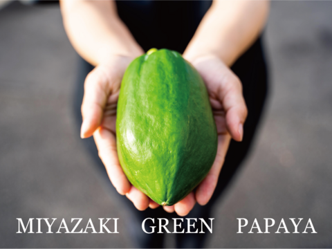 酵素たっぷりMIYAZAKI GREEN PAPAYA（青パパイア/青パパイヤ）（1kg）