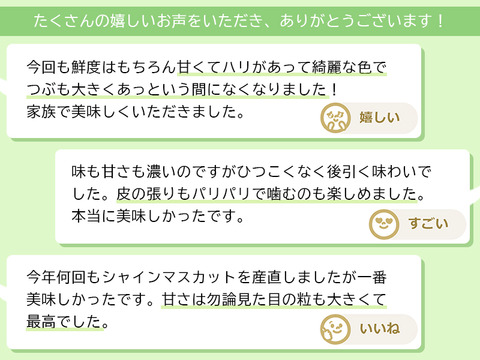 【すぐ発送！💚💚朝採れ山梨シャインマスカット】１キロ ２房を２箱セットでお届け！一度食べたら忘れられない 【生産量日本一の山梨県産】