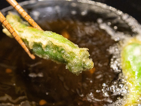 辛い実はゼロ！甘み際立つ京野菜～万願寺とうがらし１ｋｇ（３０本前後入り）