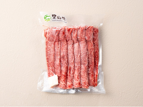 【家計応援＊30％OFF】［～6/21まで］アレンジ豊富！スライス肉料理食べ比べセット（900g）