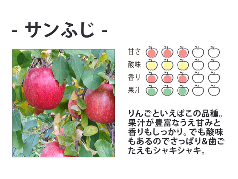 NO.1人気品種【サンふじ】家庭用10kg(28~40玉) りんごの名産地青森広船より