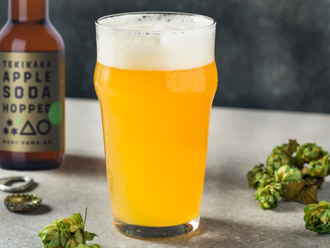 摘果りんご果汁100% ノンアル炭酸飲み比べセット テキカカアップルソーダ&ホップド各3本計6本セット　甘味料・香料・保存料不使用で体にうれしい超さわやか炭酸ドリンク🍹お食事にも合う！！