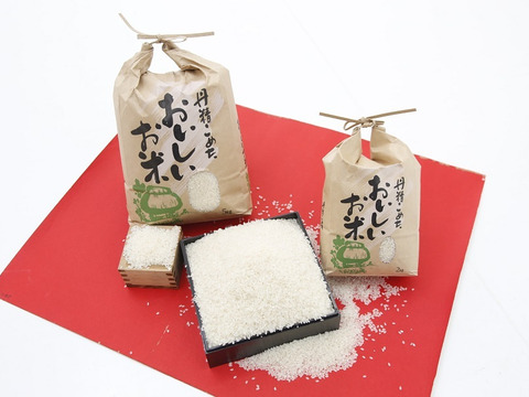 爆買い！ 令和6年新米 淡路島産：兵庫県産のお米 コシヒカリ 精米10kg 米・雑穀・粉類