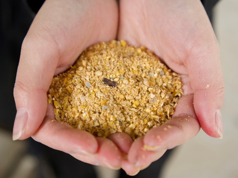 🎁【冬ギフト】🎁 冬のご挨拶に⛄️【あかねの虜】Lサイズ（40個入り） 28歳2児の母がプロデュースした話題の卵【お歳暮・お年賀など熨斗対応可能👌】※ご希望の場合は特記事項へご記入ください