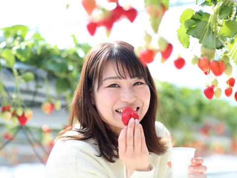 全国いちご選手権銀賞受賞！】《贈答》おいCベリー『晴れの国