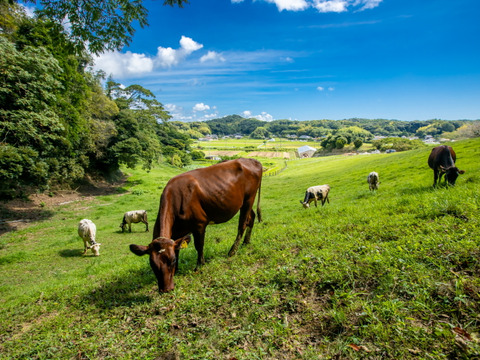 お試しセット！牛乳150ml×2本、飲むヨーグルト100ml×2本、モッツァレラチーズ100g×1個