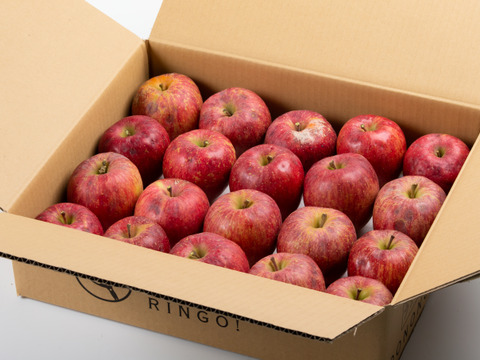 サンふじA規格　大野農園を代表する品種「りんごの王様」10～13個程度（約5ｋ）