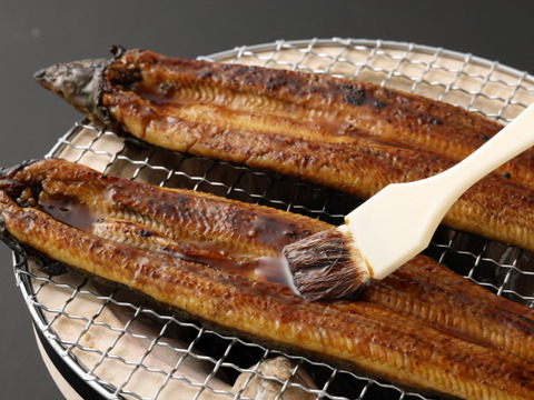 【夏ギフト】【幻の海水うなぎ】【伊勢神宮奉納うなぎ】【限定生産】海水育ちの〝天草藍うなぎ〟蒲焼2～3尾セット