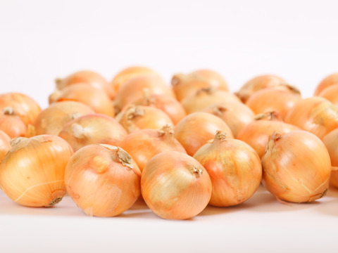 今期最終！！！　納豆菌栽培（残留農薬不検出）淡路島産玉ねぎ　10ｋｇ