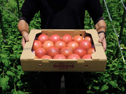 山の恵みがつくる大玉トマトLサイズ20玉セット(4kg前後)