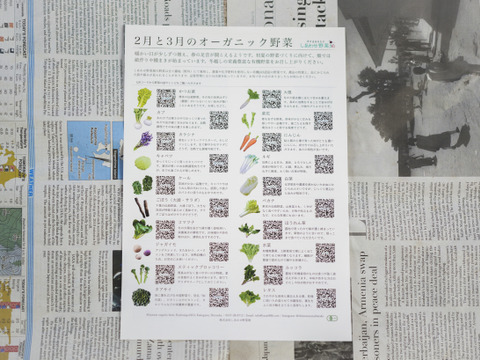 旬の有機野菜Sセット　しあわせ野菜畑（有機JAS）