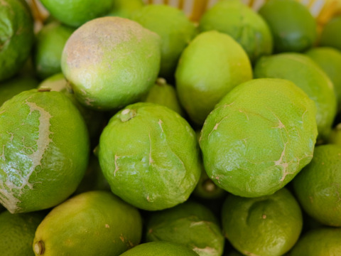 (C品・2kg)香り抜群‼︎　特別栽培「瀬戸田産グリーンレモン」